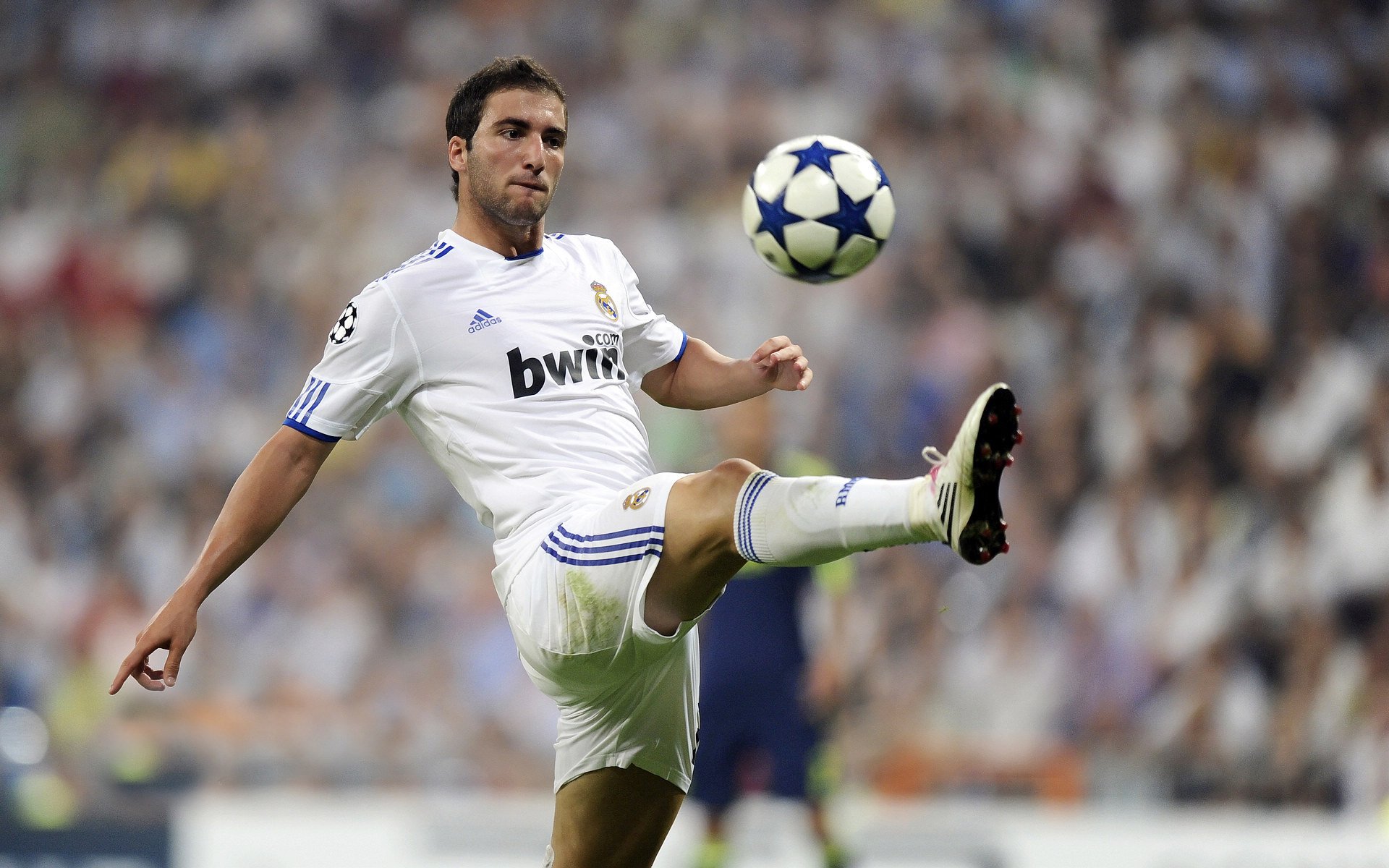 墨西哥的赛场狂欢文化,墨西哥狂欢节介绍