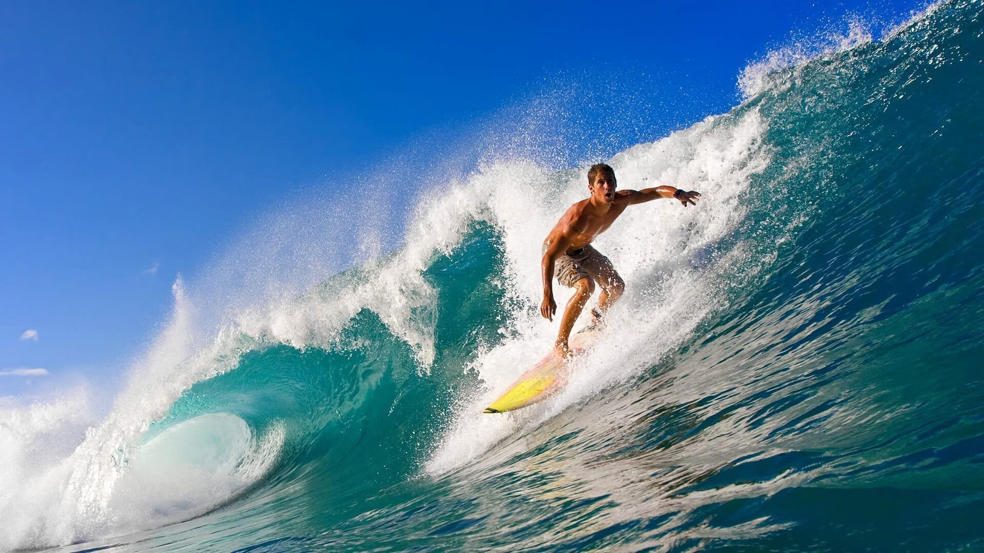 开云权威入口-潜水探险赛：深海奇观的探索之旅，acfun潜水探险